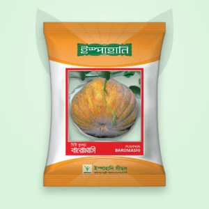 মিষ্টি কুমড়া বীজ — বারোমাসি (হলুদ) (Sweet Gourd Seed)