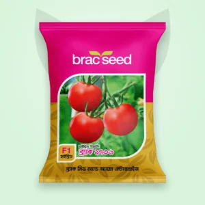 টমেটো বীজ — ব্র্যাক ১৭৩৬ | BRAC Tomato F1 Seed