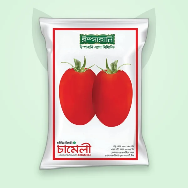 টমেটো হাইব্রিড বীজ — চামেলি (Tomato F1 Seed)