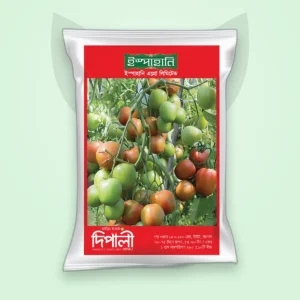 টমেটো হাইব্রিড বীজ — দিপালী (Tomato F1 Seed)