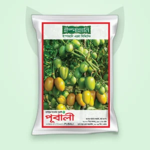 টমেটো হাইব্রিড বীজ — পূবালী (Tomato F1 Seed)