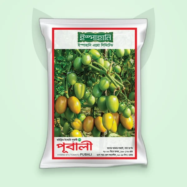 টমেটো হাইব্রিড বীজ — পূবালী (Tomato F1 Seed)