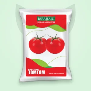 টমেটো হাইব্রিড বীজ — টমটম (Tomato F1 Seed)