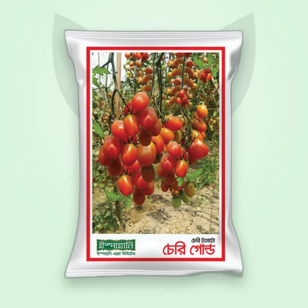 টমেটো বীজ — চেরি গোল্ড (Tomato Seed)