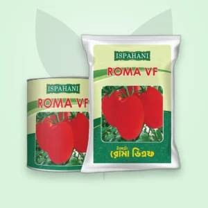 টমেটো বীজ — Roma VF (Tomato Seed)