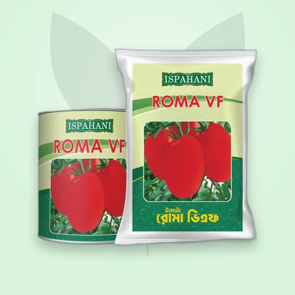 টমেটো বীজ — Roma VF (Tomato Seed)