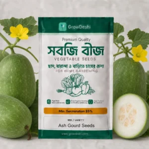 হাইব্রিড চাল কুমড়ার বীজ · F-1 (১৫টি বীজ) — Ash Gourd Hybrid Seeds | GrowDeshi