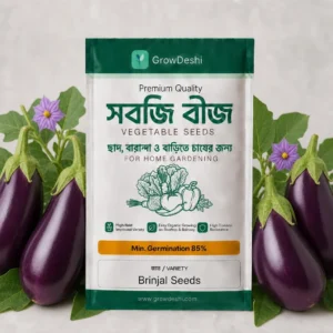 হাইব্রিড বেগুনের বীজ · F-1 (২৫টি বীজ) — Brinjal Hybrid Seeds | GrowDeshi