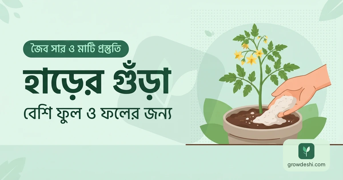 হাড়ের গুঁড়া সার — কেন, কোন গাছে ও কতটুকু ব্যবহার করবেন — GrowDeshi