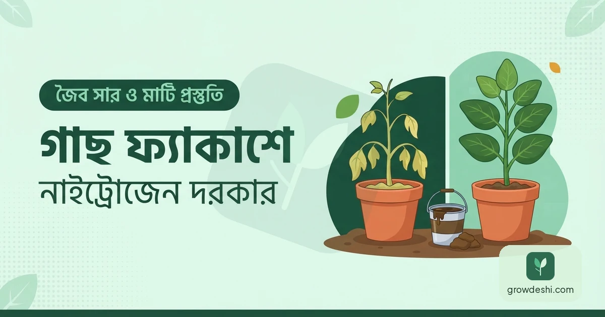 নাইট্রোজেন সমৃদ্ধ জৈব সার — কোনটা কখন ও কতটুকু — GrowDeshi