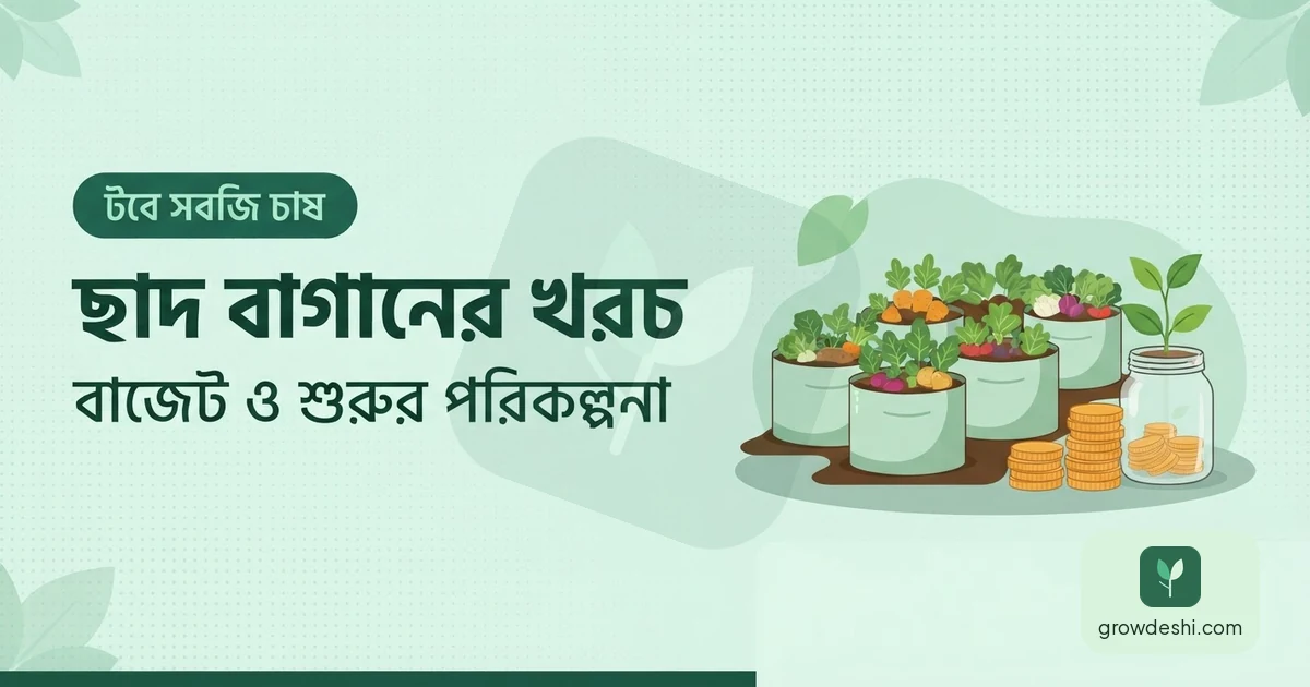 ছাদ বাগানের খরচ কত — বাজেট ও শুরুর পূর্ণ পরিকল্পনা — GrowDeshi
