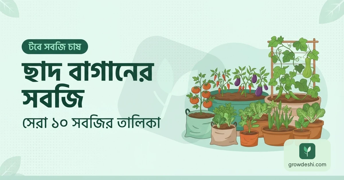 ছাদ বাগানে কোন সবজি লাগাবেন — সেরা ১০ সবজি — GrowDeshi