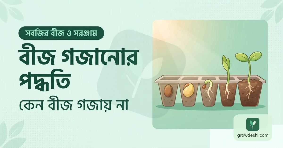 বীজ গজানোর পদ্ধতি: কেন বীজ গজায় না ও সঠিক নিয়ম — GrowDeshi