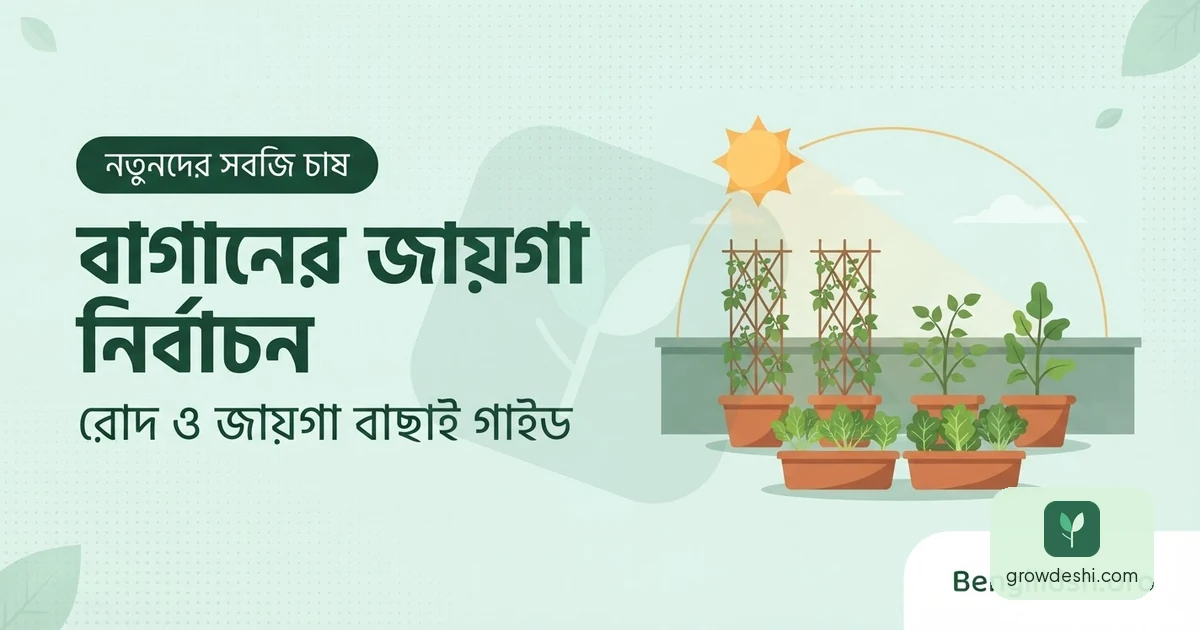 বাগানের জায়গা নির্বাচন: রোদ, দিক ও ছাদের নিরাপদ ওজন গাইড — GrowDeshi