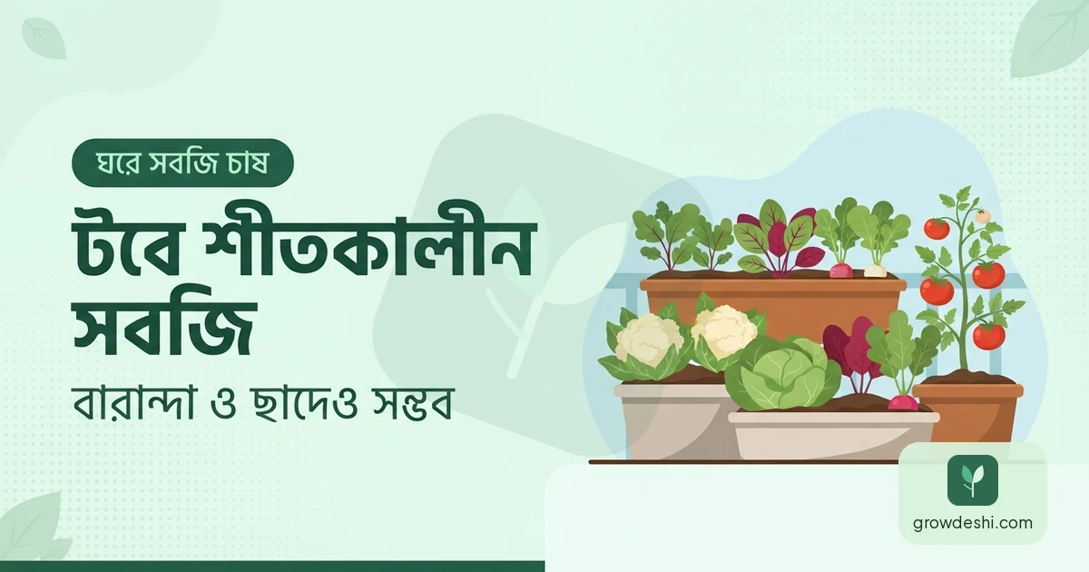 টবে শীতকালীন সবজি চাষ — বারান্দা ও ছাদেও সম্ভব — GrowDeshi