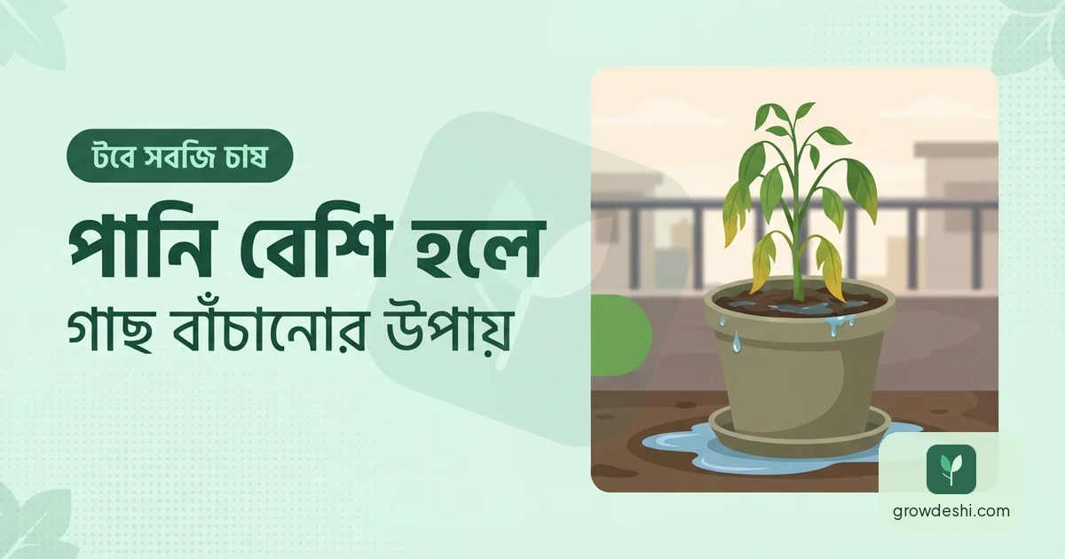 গাছে অতিরিক্ত পানি দেওয়ার লক্ষণ ও প্রতিকার — GrowDeshi