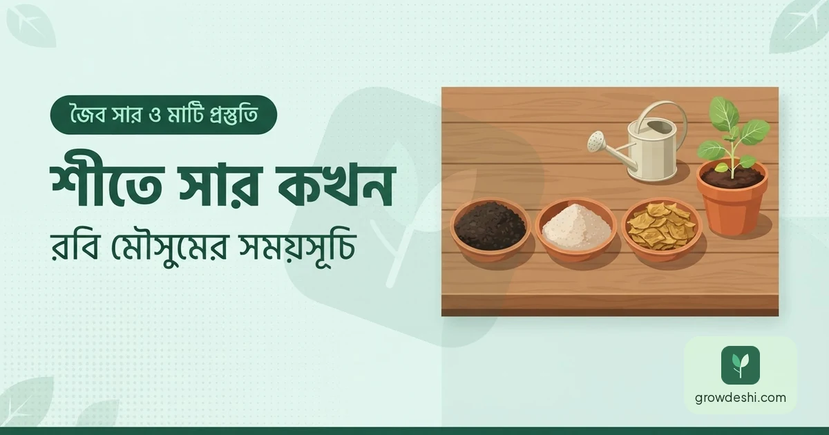 রবি মৌসুমে সার প্রয়োগের সময়সূচি — কখন কোনটা — GrowDeshi